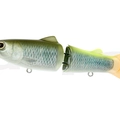 #04 Hasu