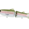 #06 Rainbow Trout