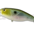 #77 Ghost Minnow