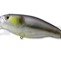 #78 Real Shad