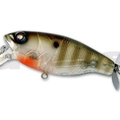 #02 Baby Gill