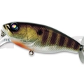#03 Flash Gill