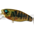 #16 Real Bluegill