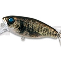 #17 Real Largemouth