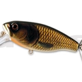 #18 Gold Carp