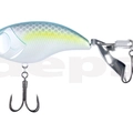#06 Sexy Shad