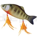 #11 Bluegill