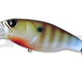 #01MG Bluegill