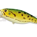 #08 Pond Frog