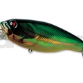#12 Walleye