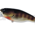 #17 Flash Gill