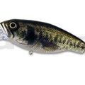 #19 Real Largemouth