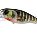 #21RF Bluegill