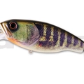 #22 Real Pearl Gill