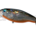 #23 Diamond Shad