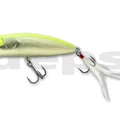 #25 Visible Shiner