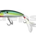 #76 Sexy Shad