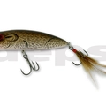 Brown Rat