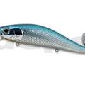 #02 Blue Shad