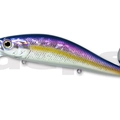 #75 American Shad