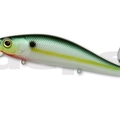 #76 Sexy Shad