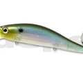 #77 Ghost Minnow