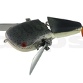 Red Tail Cat