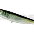 #04 Yellow Tail Shad