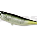 #23 Yellow Tail Shad