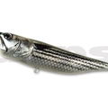 #33 Mullet