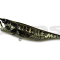 #36 Real Largemouth