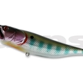 Metallic Gill