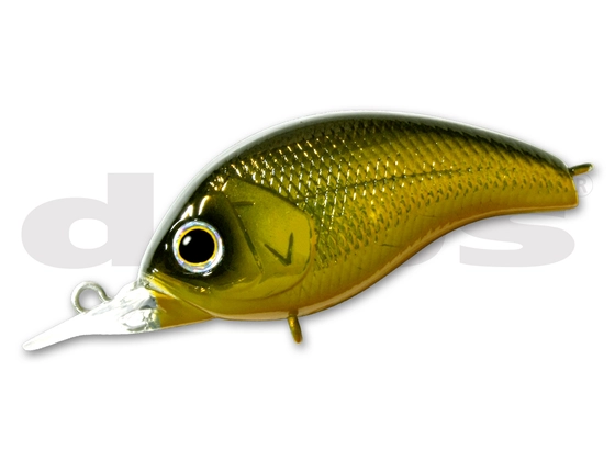 Deps Korrigan