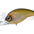 #06 Horizon Shad