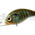 #15 Real Bluegill