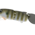 #01MG Bluegill