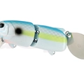 #04 Sexy Shad