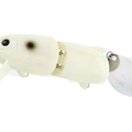 #11 Bone Shad