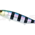 #11 Aurora Stripe