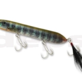 #05 Real Bluegill
