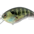 #01 Real Bluegill