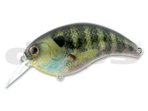 Deps Evoke