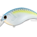 #07 Sexy Shad