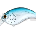 #08 Chrome Shad