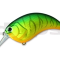 #06 Hot Tiger