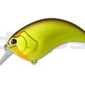#07 Brown Back Chart