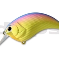#09 Rainbow