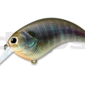 #10 Real Bluegill