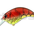 #15 Red Claw Chart Belly