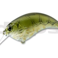 #16 Olive Claw